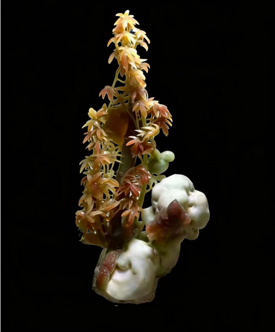 玉望秋林叠石-张永杰